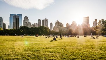 Stratégies Optimal Income
