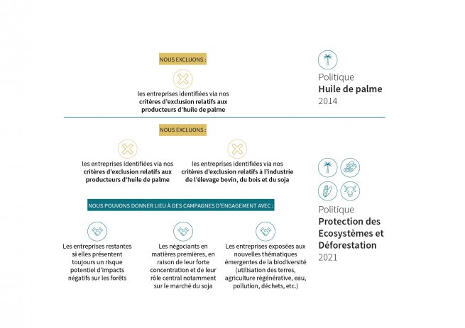 info deforestation policy Vreport FR_Plan de travail 1